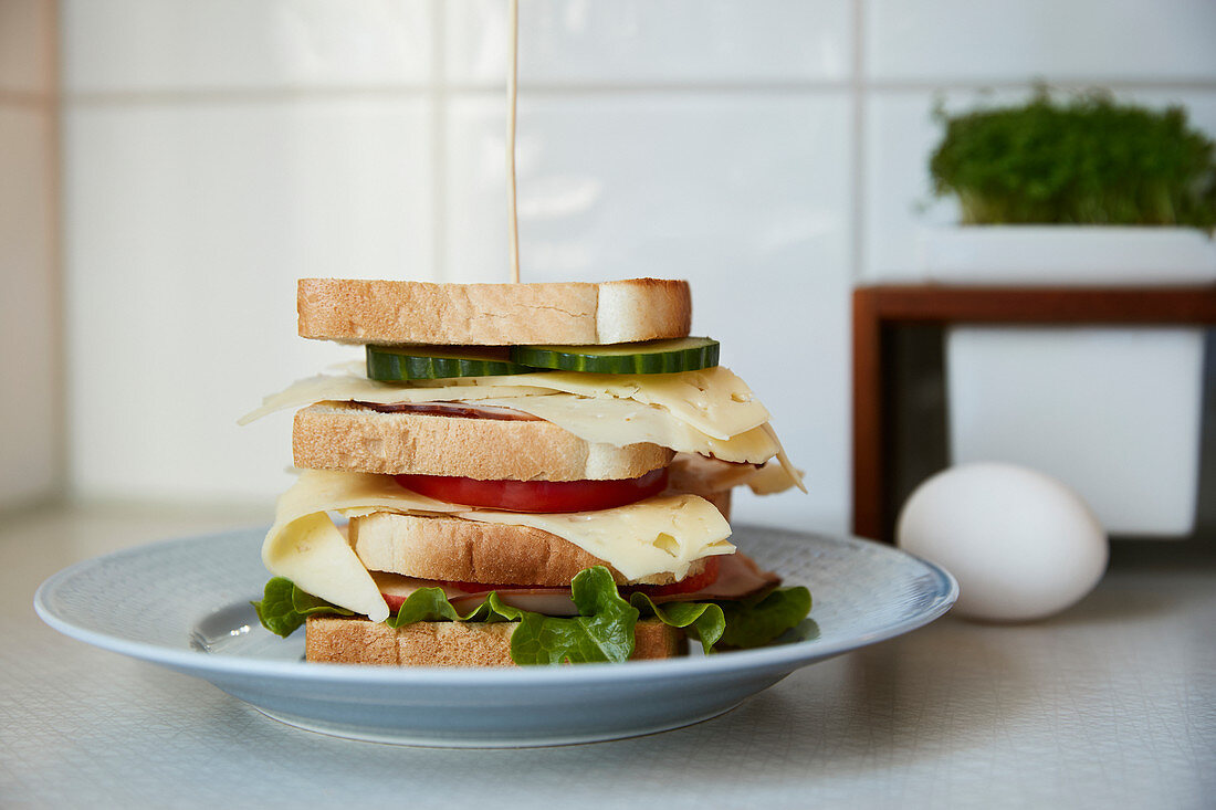 Layered sandwich on plate