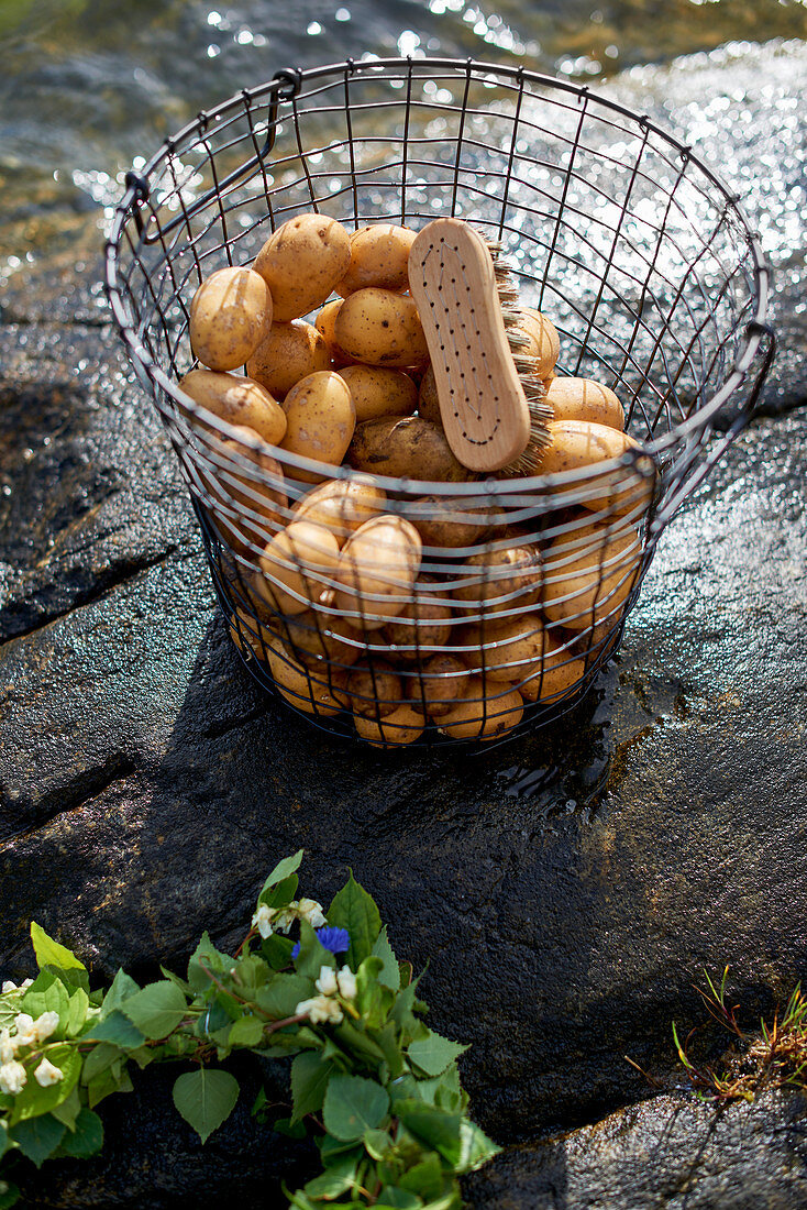 Potatoes in wire basket