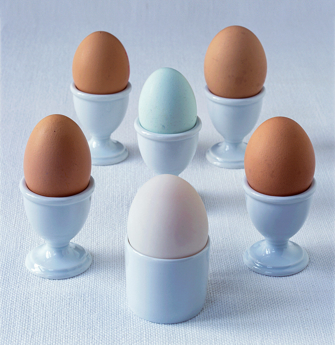 Auswahl von Bio-Eiern in Eierbechern