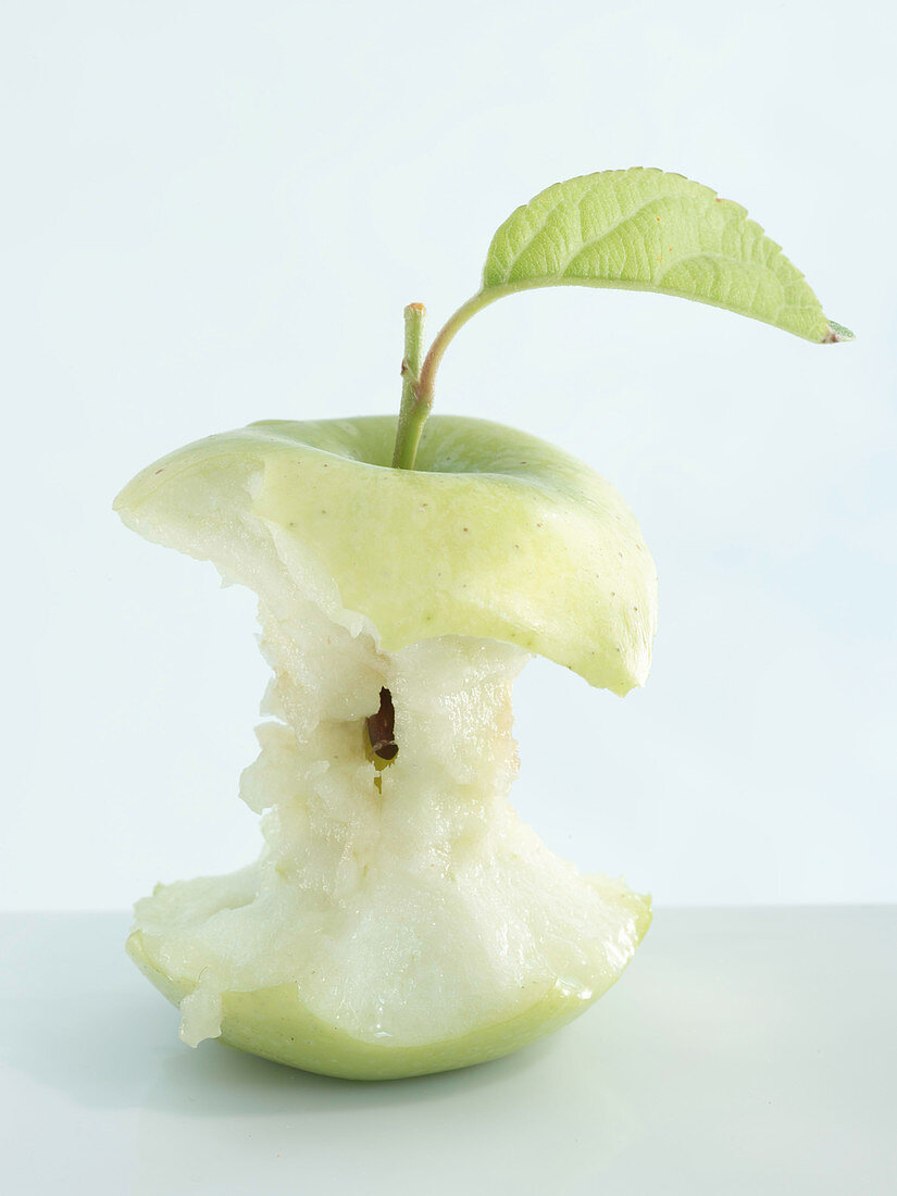 A apple core with a stalk and leaf