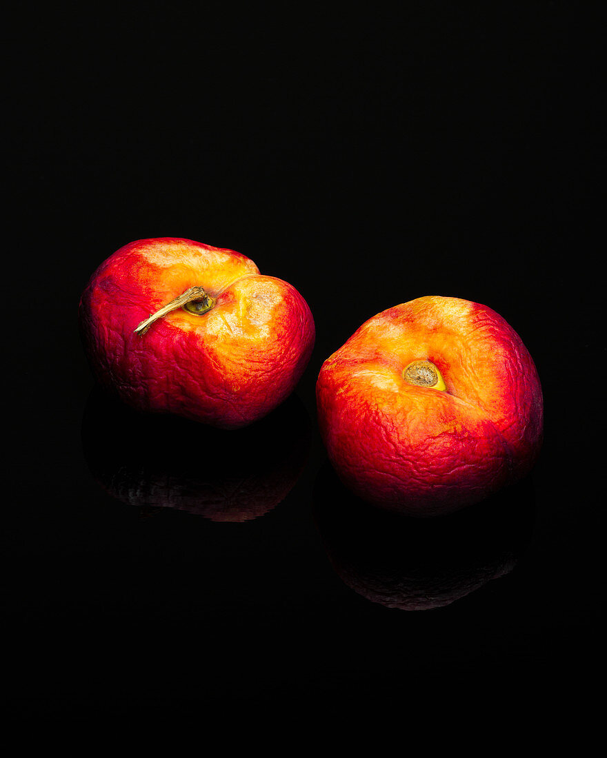 Wrinkled nectarines against a black background