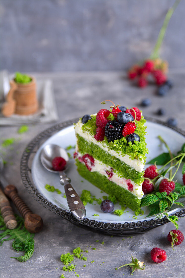 Forest moss cake with cream and summer fruit