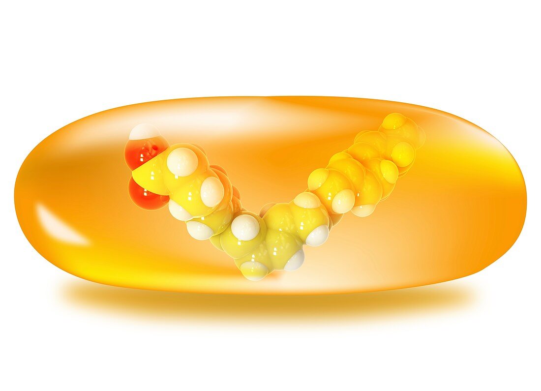 DHA omega-3 fatty acid model in an oil pill, illustration