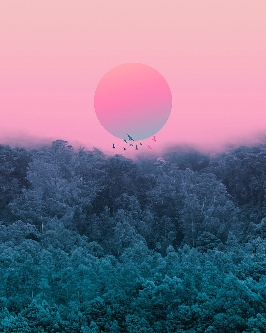 Pink sun in mist above forest, illustration