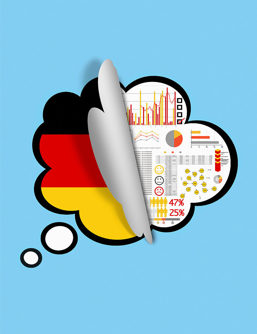 Revealing survey results of Germany population, illustration