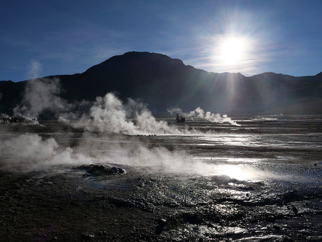 Steaming geysers and early morning light at El Tatio, Chile