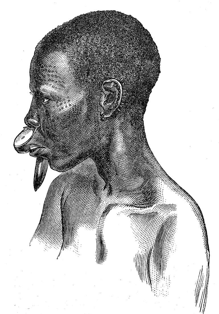 Woman from Wengo people, Africa, 19th century illustration