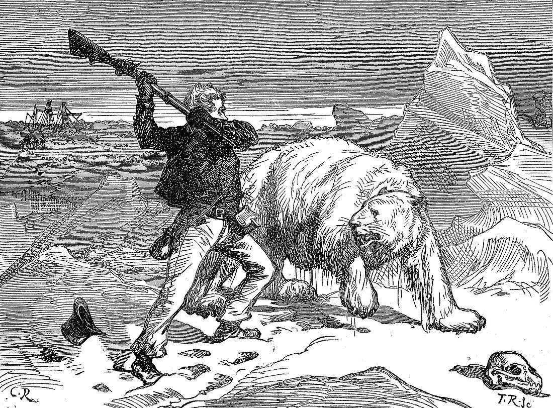 Man fighting off a polar bear, 19th century illustration