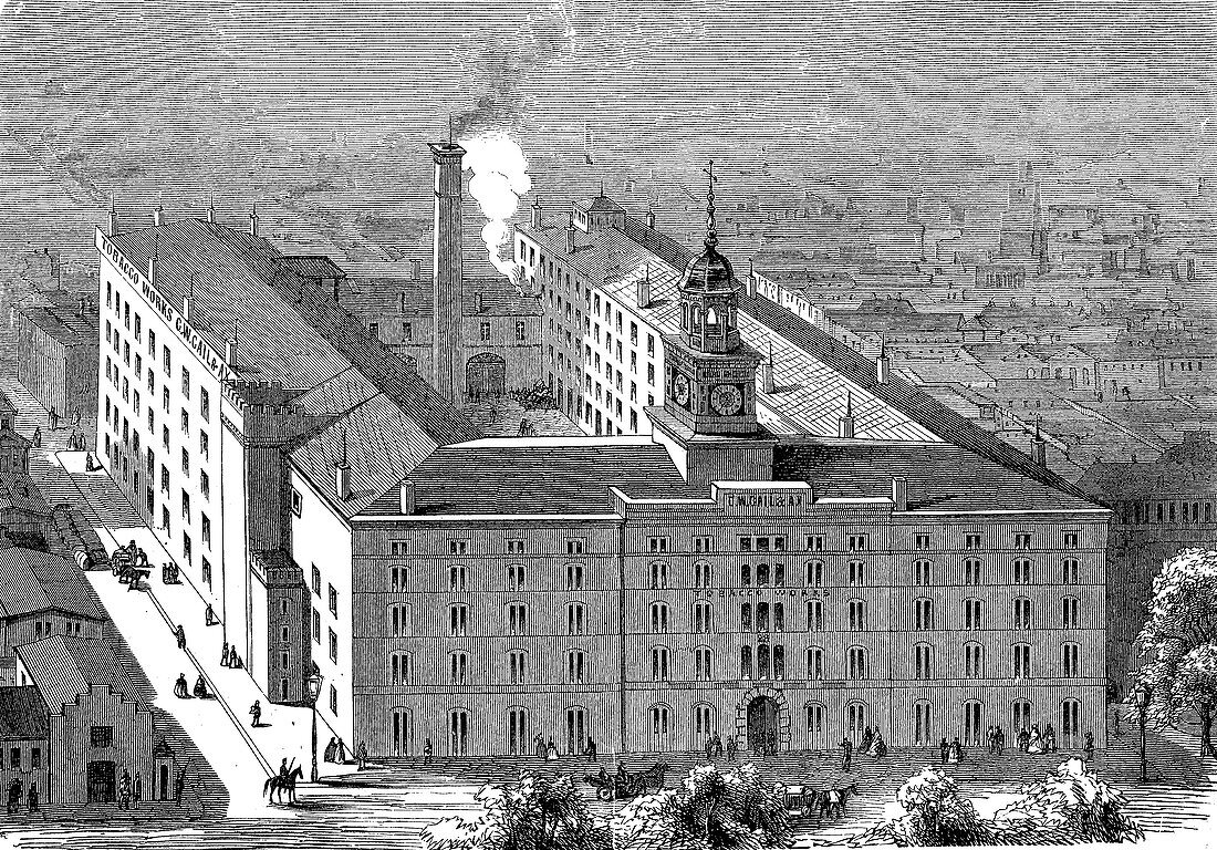 Tobacco factory, Baltimore, USA, 19th century illustration