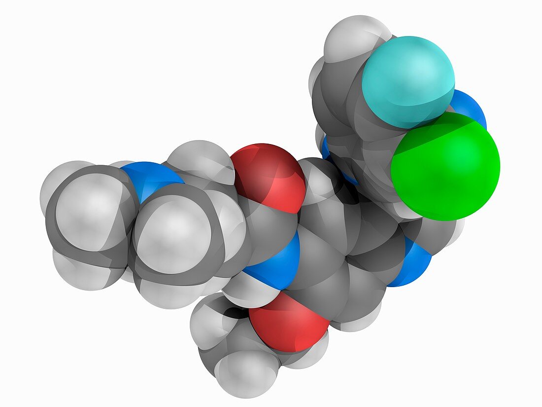 Pelitinib drug, molecular model