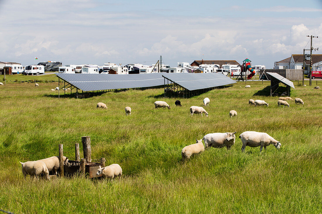 Solar farm next to a caravan park