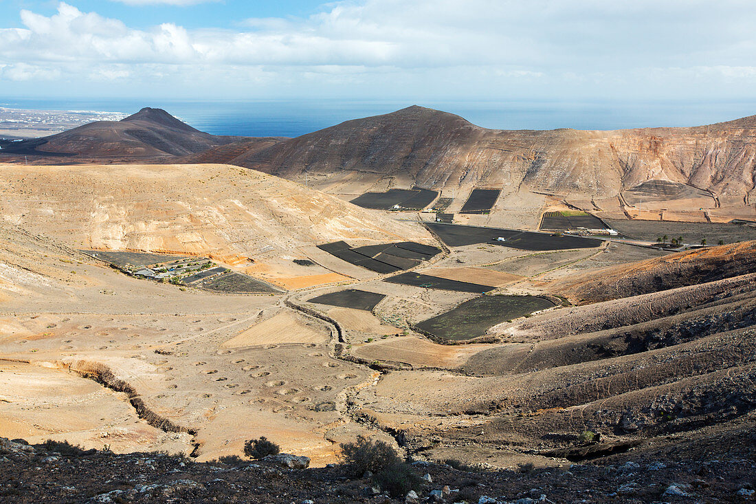 Agricultural land, Lanzarote, Canary Islands