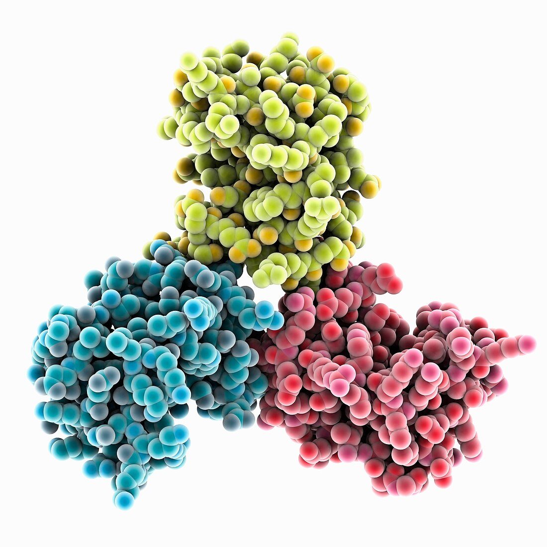 HIV-1 matrix protein mutant, molecular model
