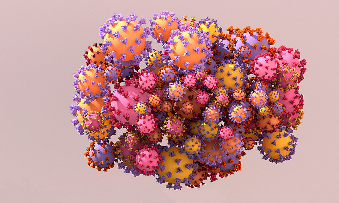Covid-19 coronavirus variants, illustration