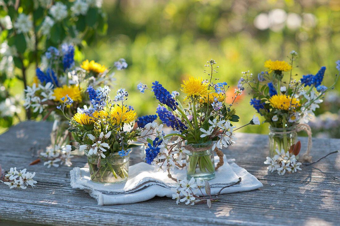 Kleine Frühlingssträuße mit Traubenhyazinthen, Löwenzahn, Felsenbirne, Vergißmeinnicht, Hirtentäschel und Gänseblümchen