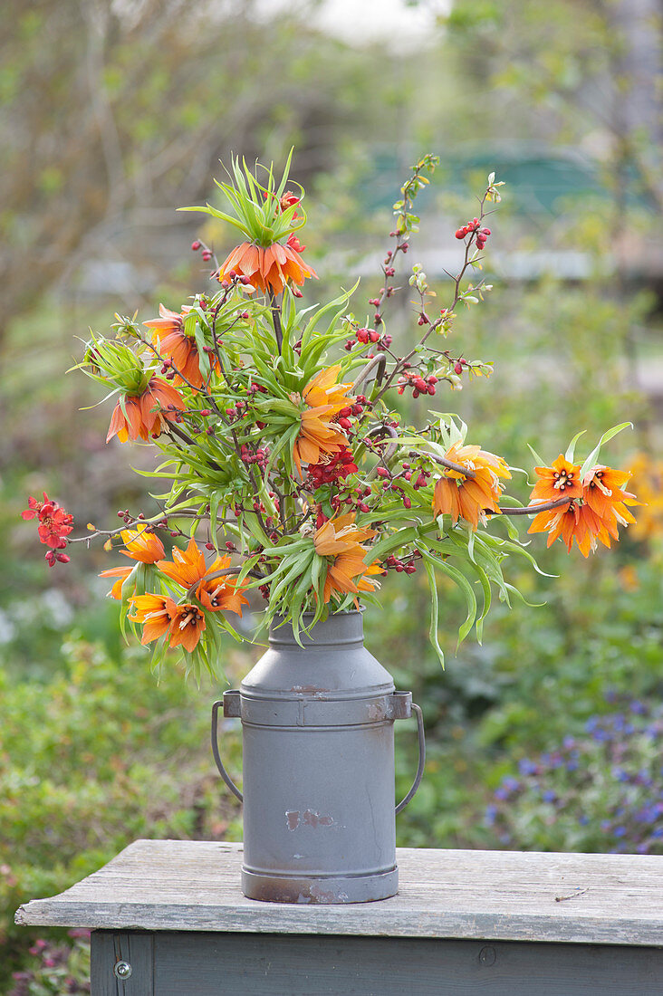 Spring bouquet made from crown imperial and Flowering quince