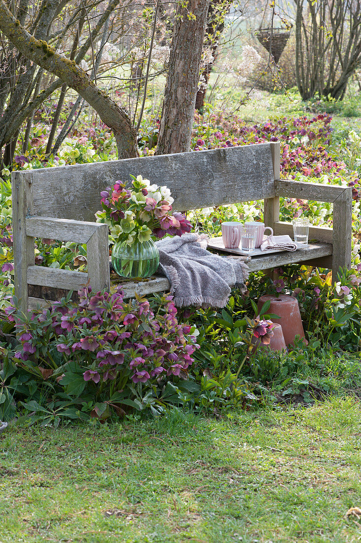 Wooden bench on the bed with spring roses, bouquet of spring roses, blanket, tray with cups and glasses