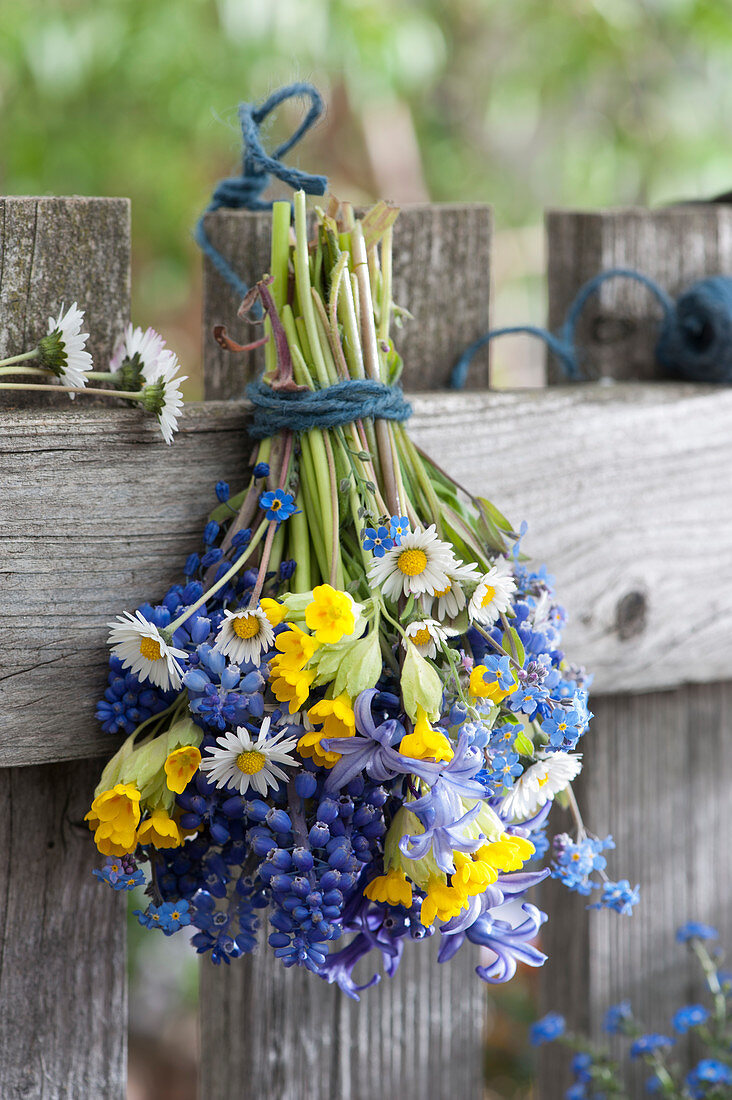 Spring bouquet of primroses, daisies, grape hyacinths, forget-me-nots and hyacinths on garden fence