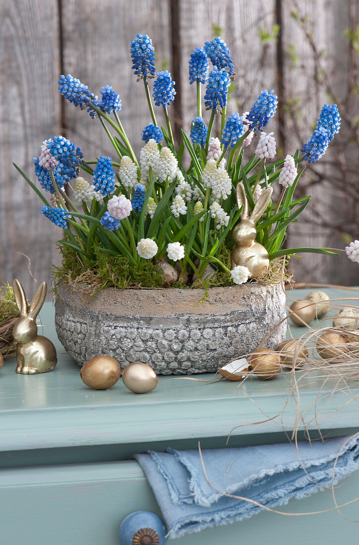 Bowl with blue and white grape hyacinths, decorated with golden Easter bunnies and Easter eggs.