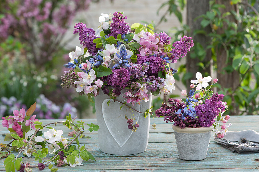Spring bouquets of lilacs, crab apple branches, bluebells and chocolate vine