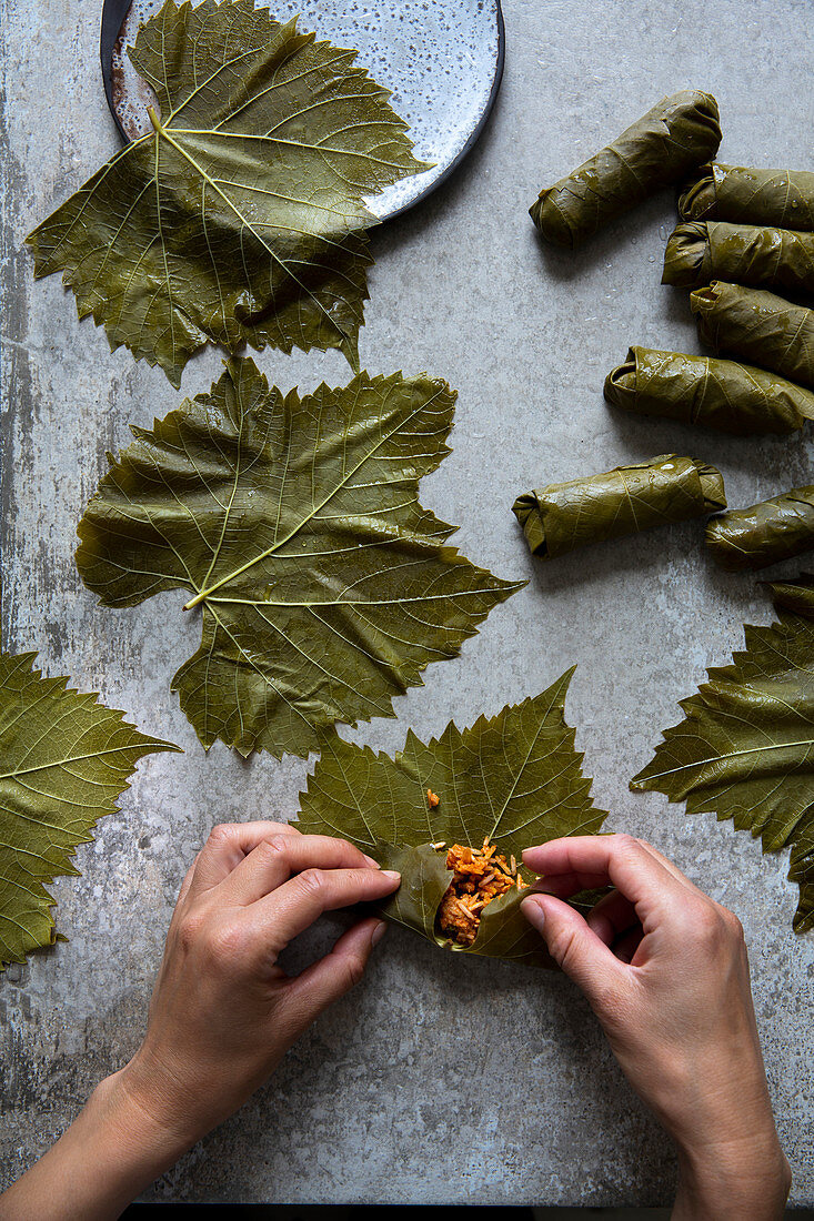 Koupepia with Hands stuffing vine leaves