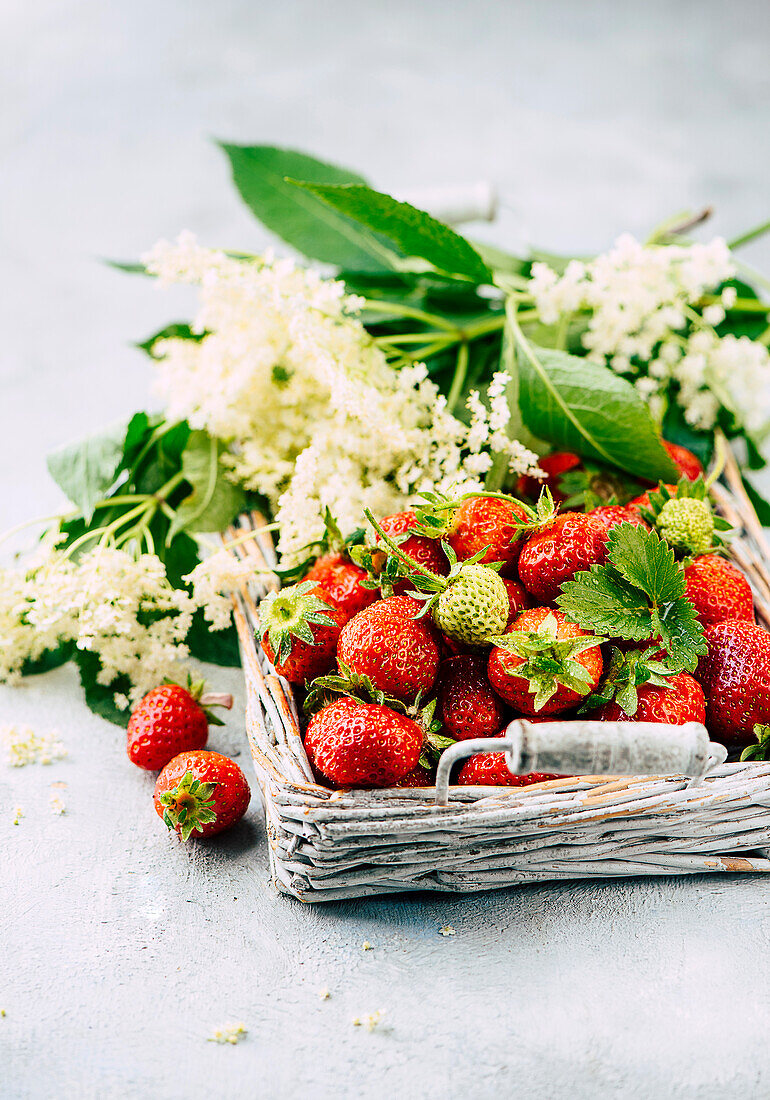 Erdbeeren und Holunderblüten