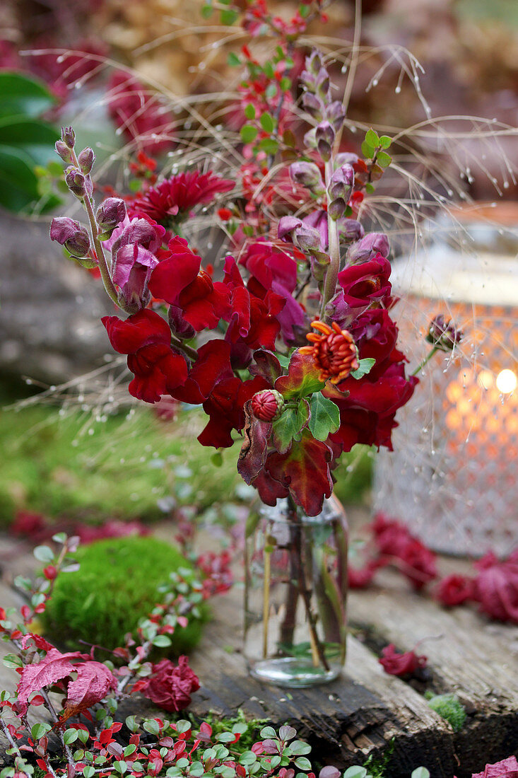 Herbststrauß aus Löwenmäulchen und Chrysantheme