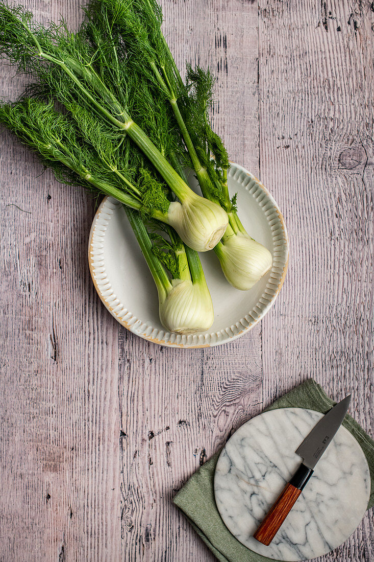 Fennel Bulbs