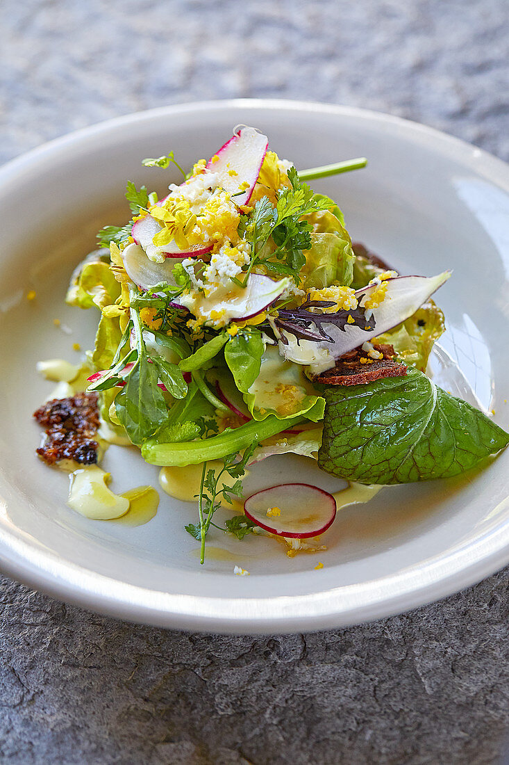 Farm lettuce with ceasar dressing and eggs mimosa