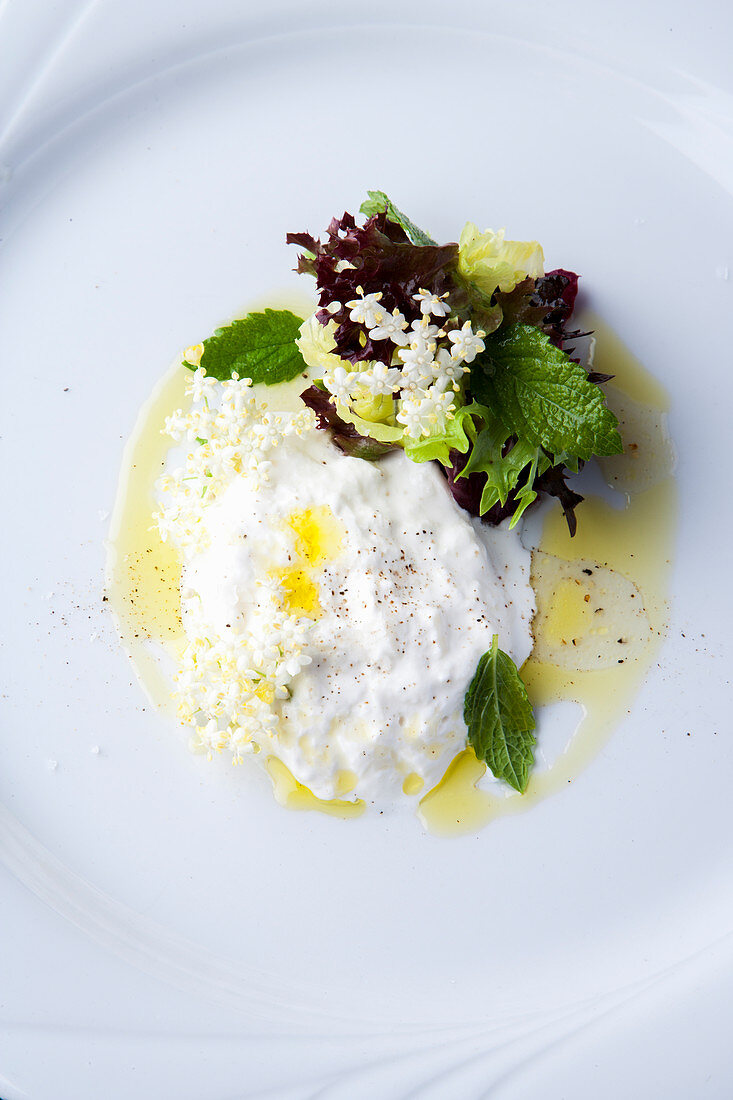 Burrata mit Holunderblüten-Vinaigrette und Melisse