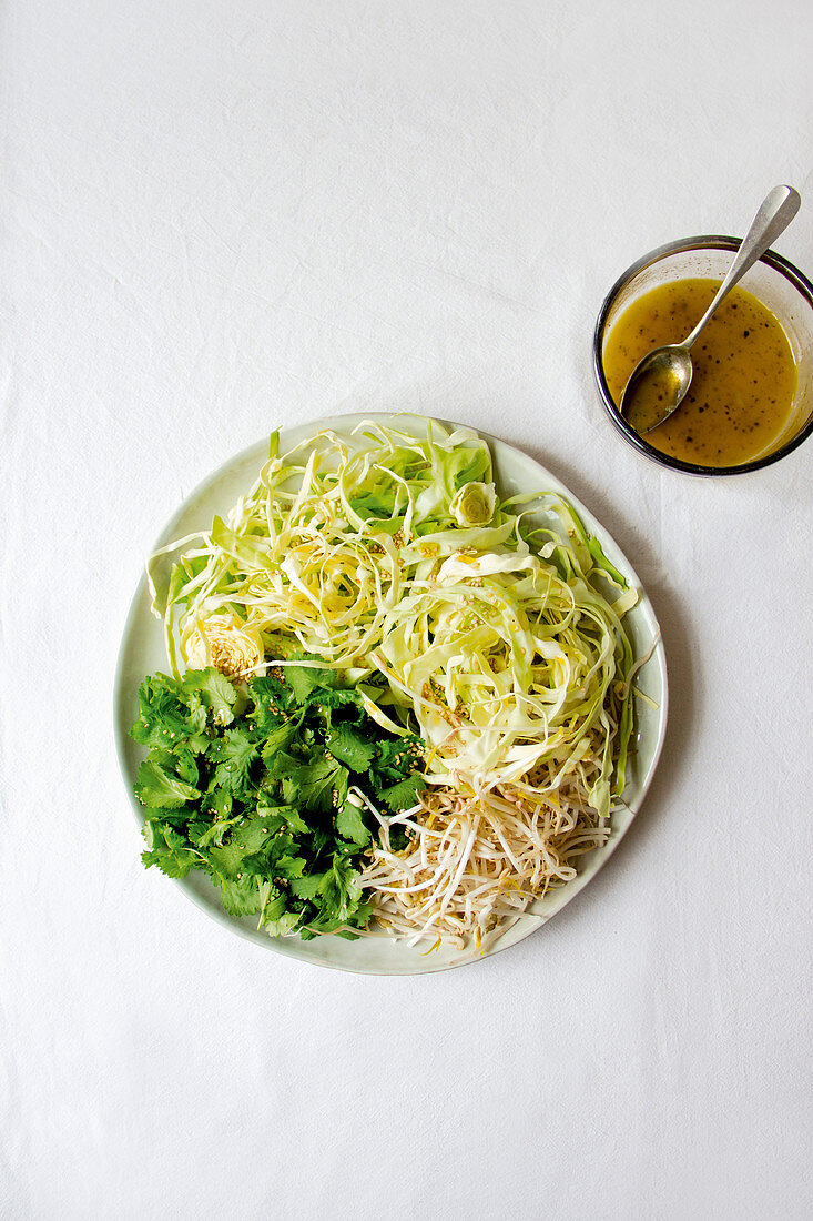 Autumnal cabbage salad with sprouts and coriander