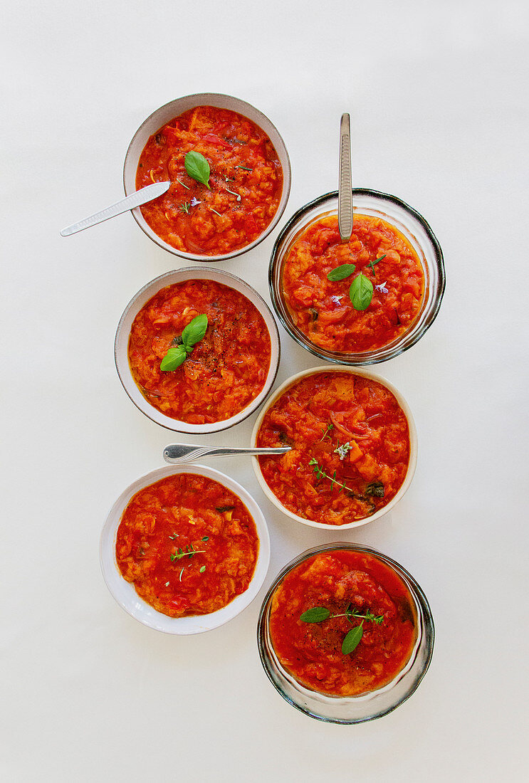 Italienische Tomaten-Brot-Suppe