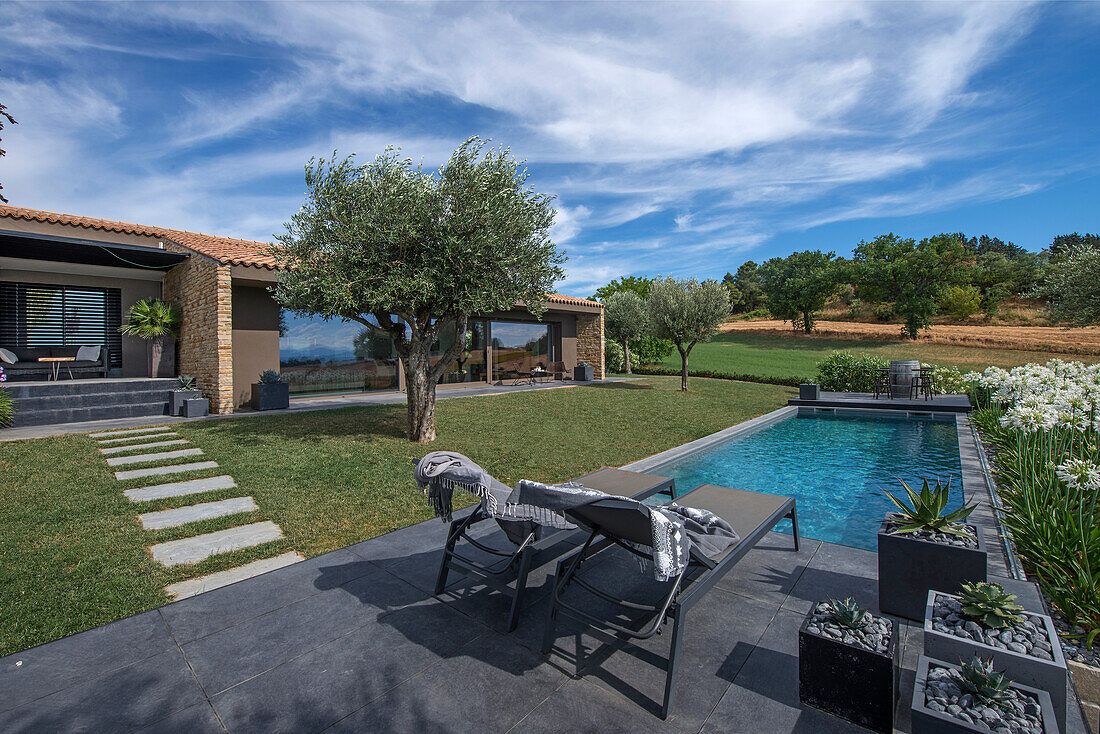 Sunny garden with pool