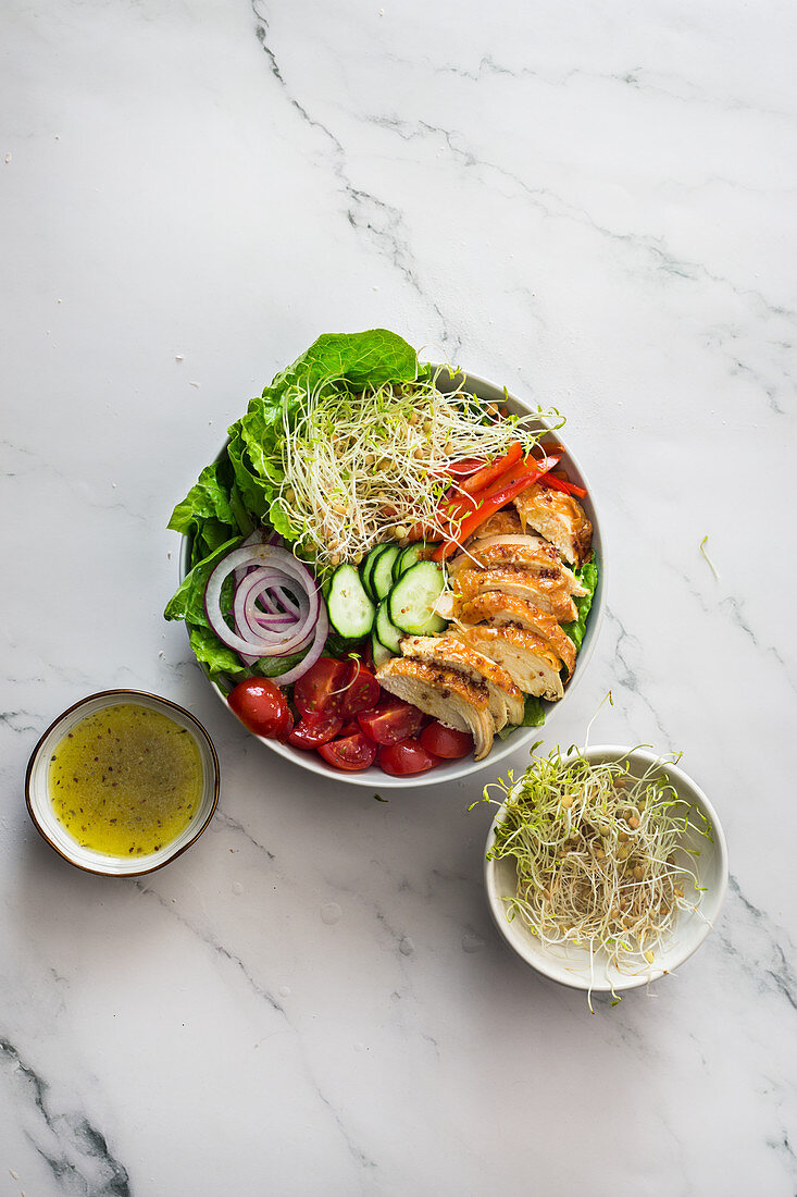 Mixed chicken salad with lentil sprouts