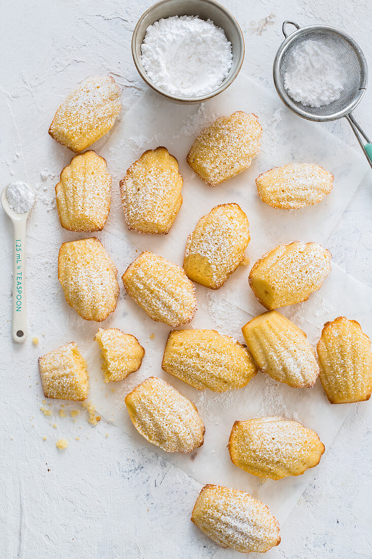 Vanilla madeleines