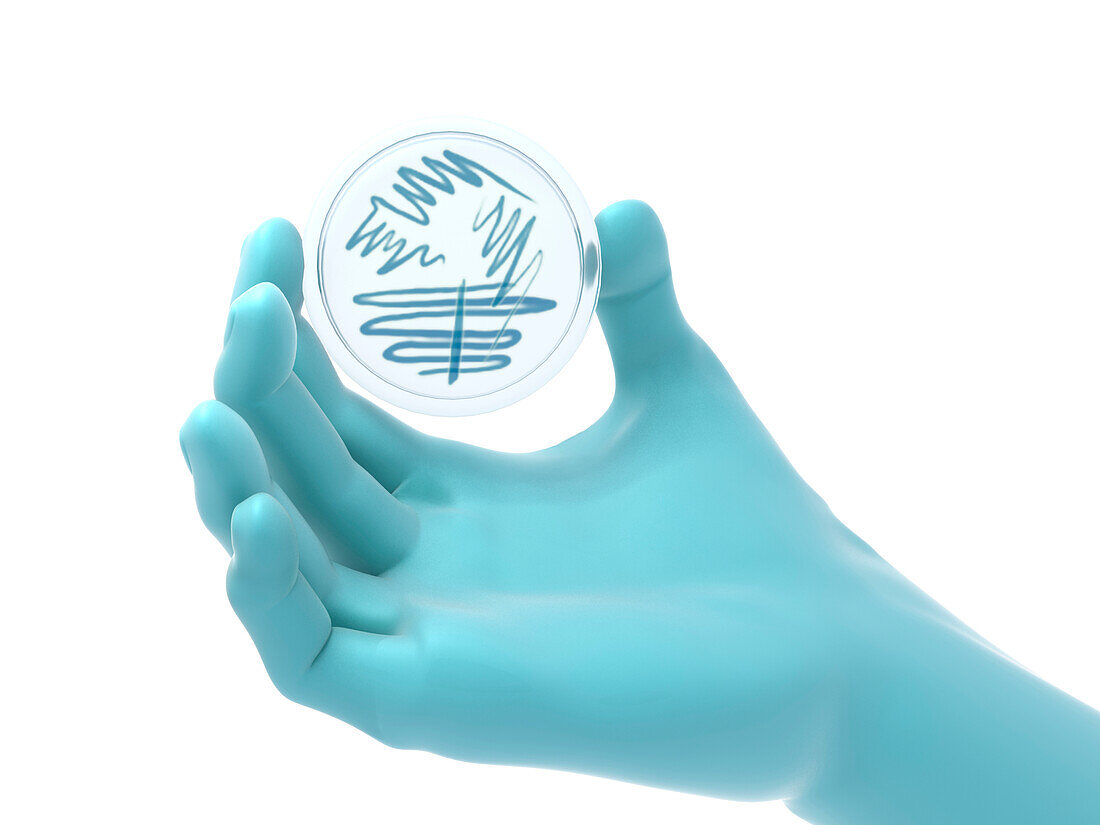 Hand holding a petri dish, illustration