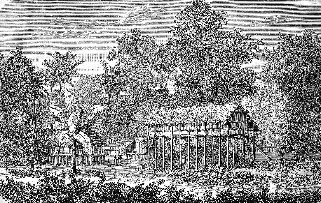 Native dwelling house, Tahiti, 19th century illustration