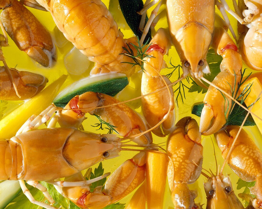 Freshwater crayfish on vegetable stock