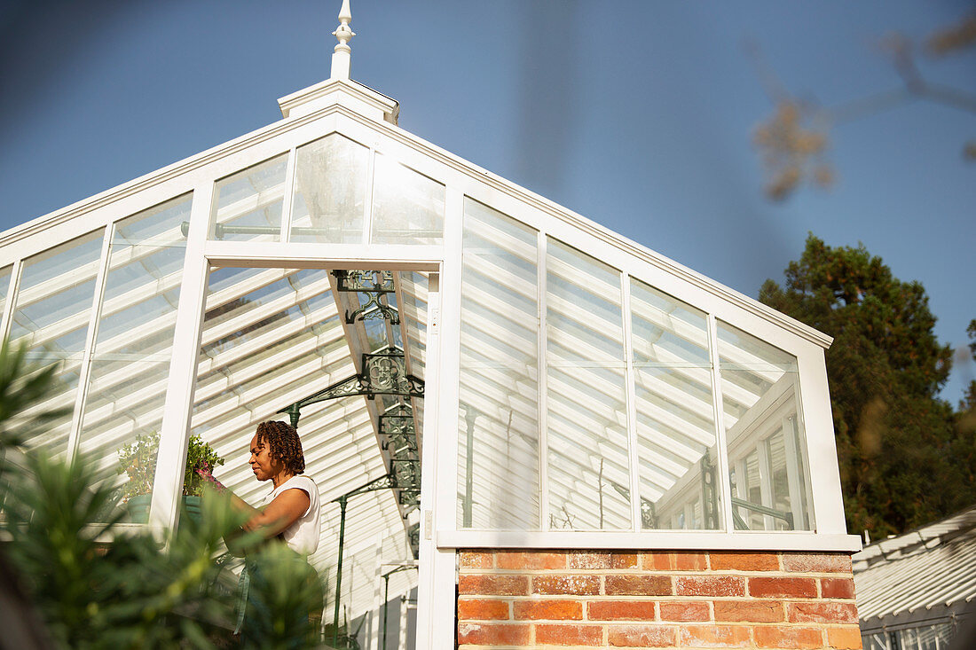 Female garden shop owner working in sunny greenhouse doorway