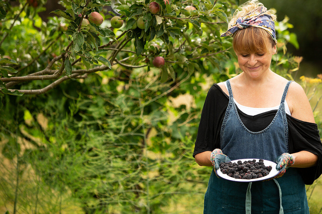 Happy woman harvesting fresh blackberries in garden
