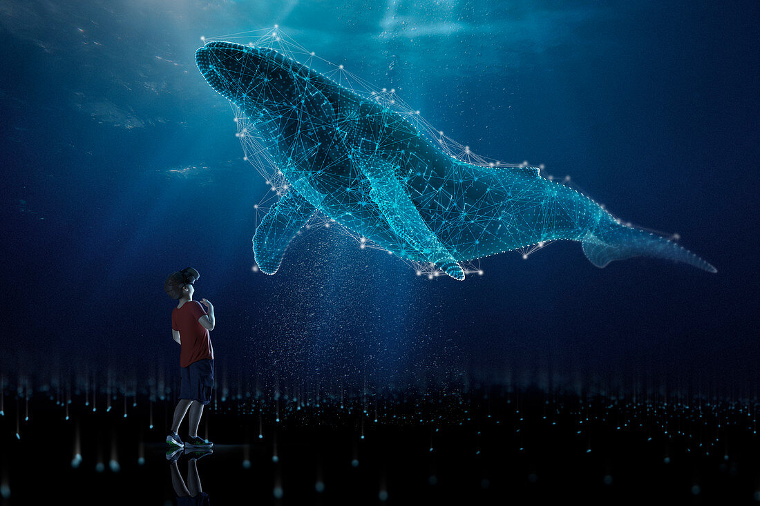 Boy in VR headset looking up at holographic humpback whale
