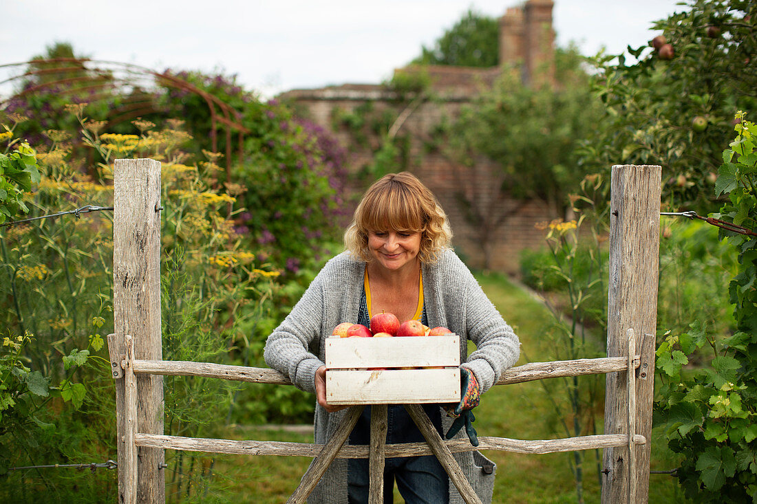 Smiling woman with crate of harvested apples in garden