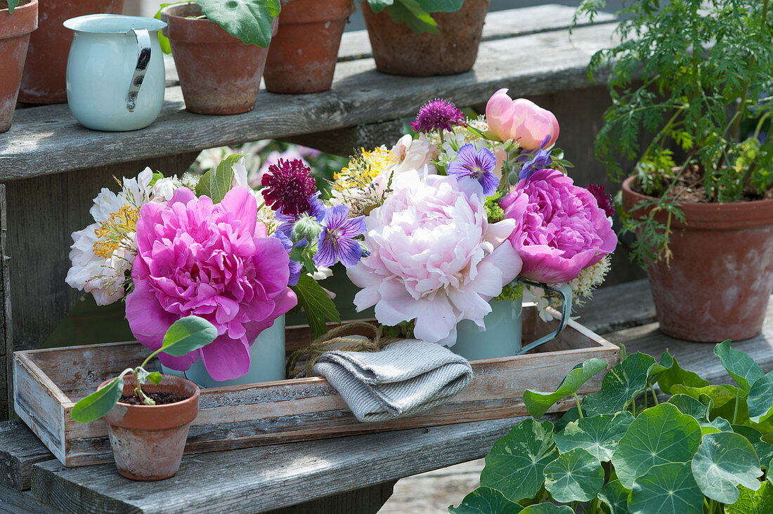 Posies of peony blossoms, cranesbill and scabious