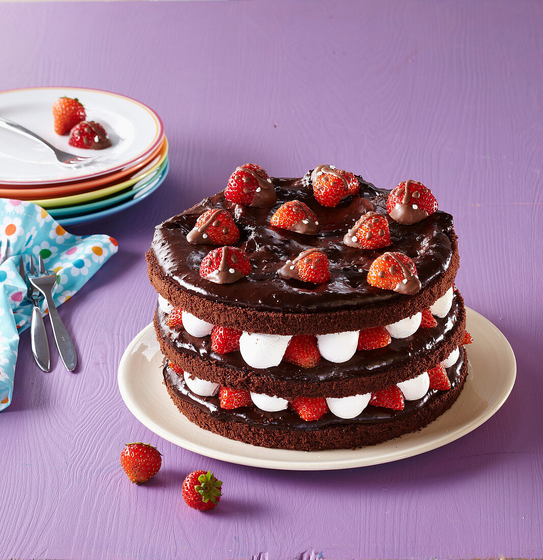 Chocolate cake with ladybirds