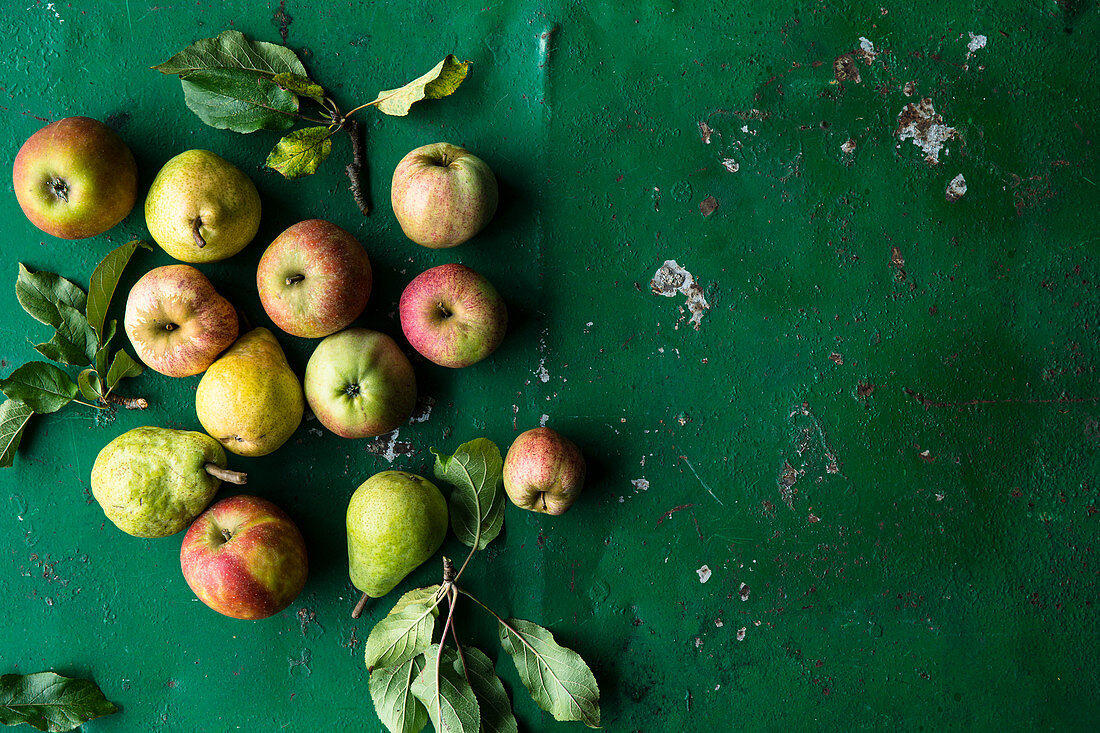 Äpfel und Birnen mit Blättern auf grünem Untergrund