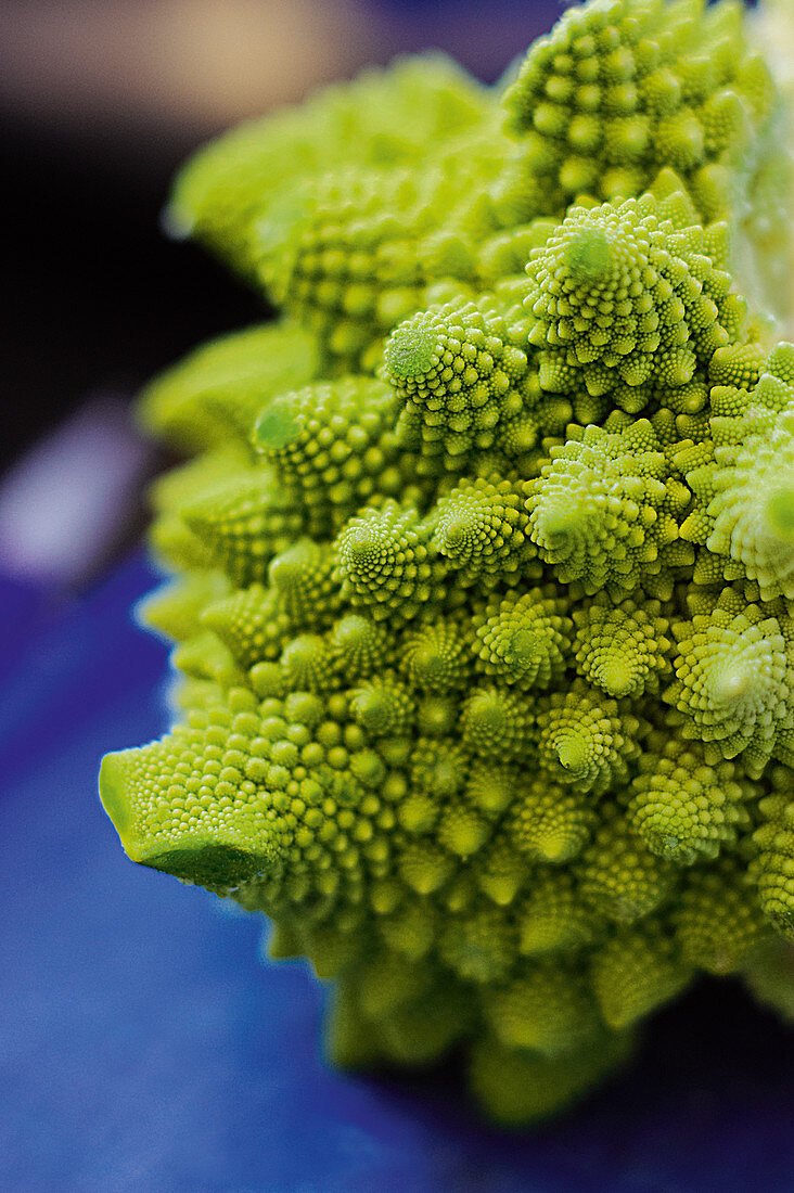 Romanesco cabbage