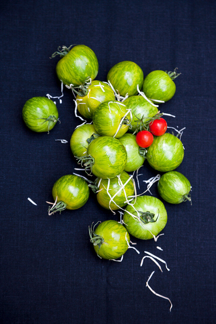 Grüne Tomaten und zwei Kirschtomaten
