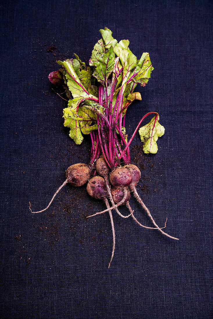 Fresh beetroot