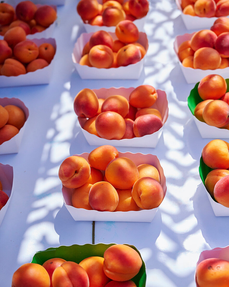 Fresh apricots in cardboard bowls