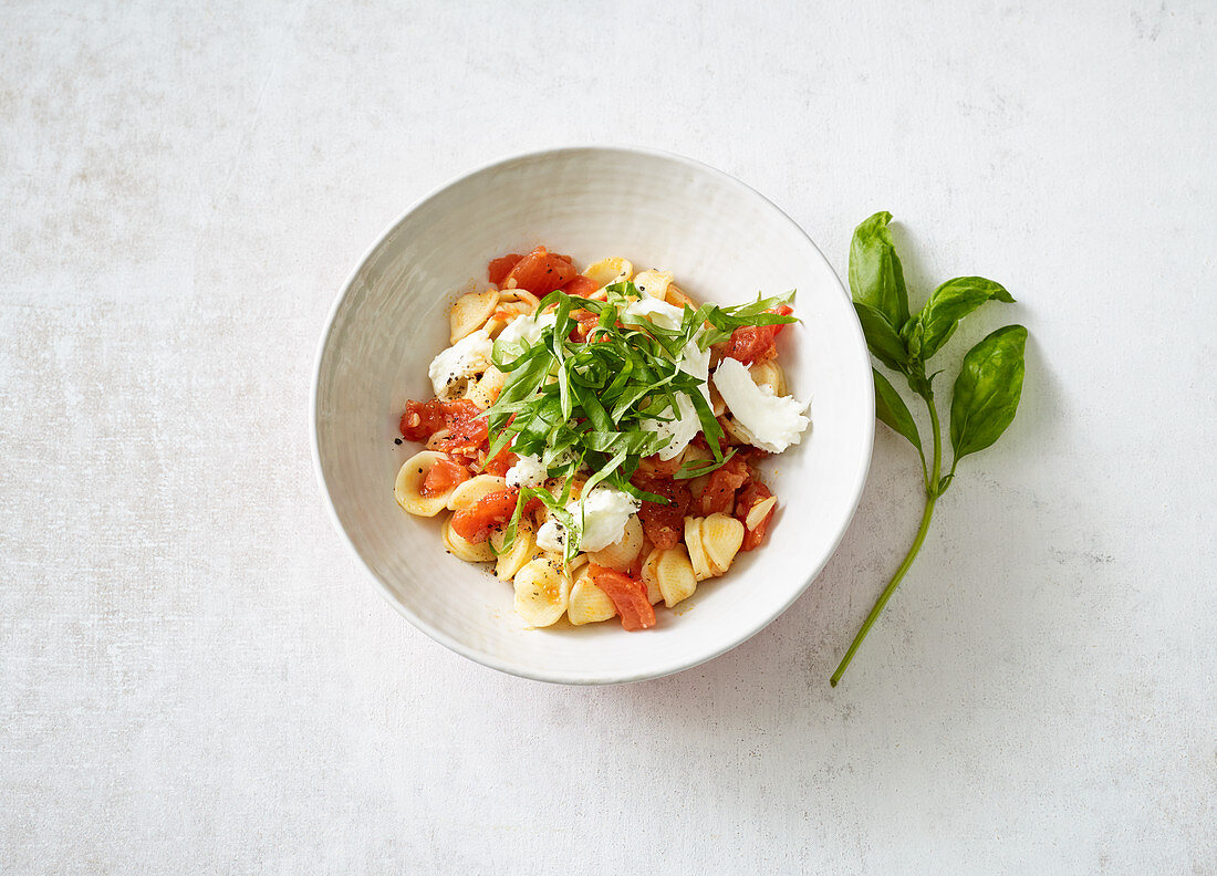 Orecchiette pasta with tomatoes and buffalo mozzarella